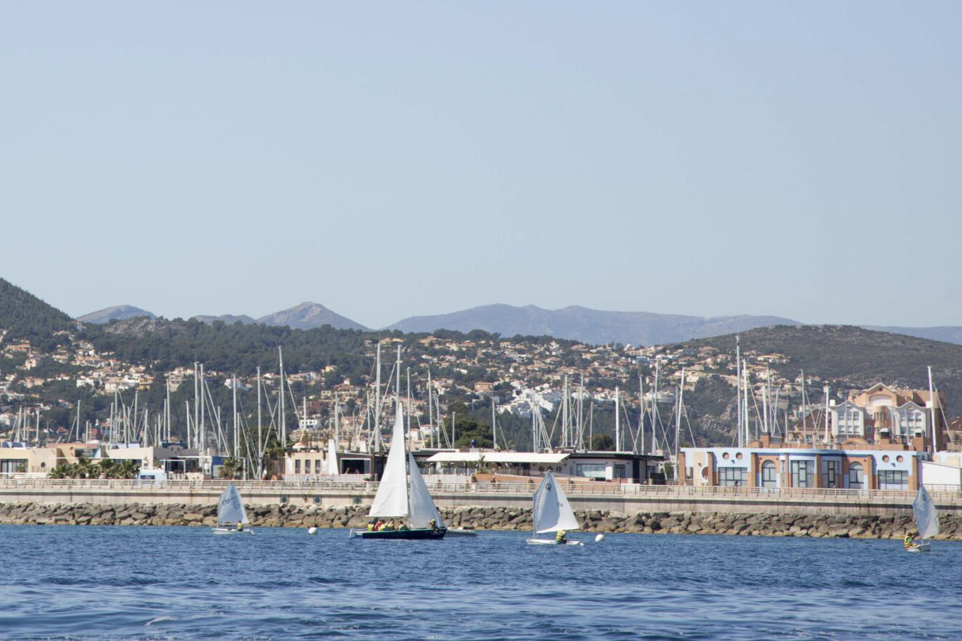 5-denia